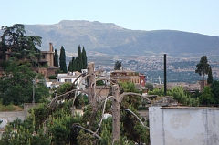 Granada1 (22)
